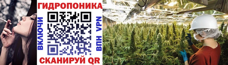 Шишки марихуана планчик  Тюкалинск 